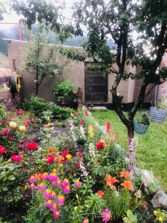 קזבגי Ia'S Guest House מראה חיצוני תמונה